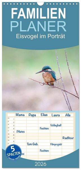 Familienplaner 2026 - Eisvogel im Porträt mit 5 Spalten (Wandkalender 21 x 45 cm) CALVENDO