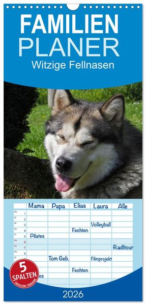 Familienplaner 2026 - Witzige Fellnasen mit 5 Spalten (Wandkalender 21 x 45 cm) CALVENDO