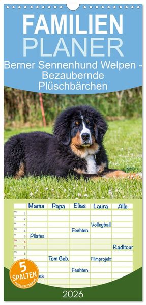 Familienplaner 2026 - Berner Sennenhund Welpen - Bezaubernde Plüschbärchen mit 5 Spalten (Wandkalender 21 x 45 cm) CALVENDO