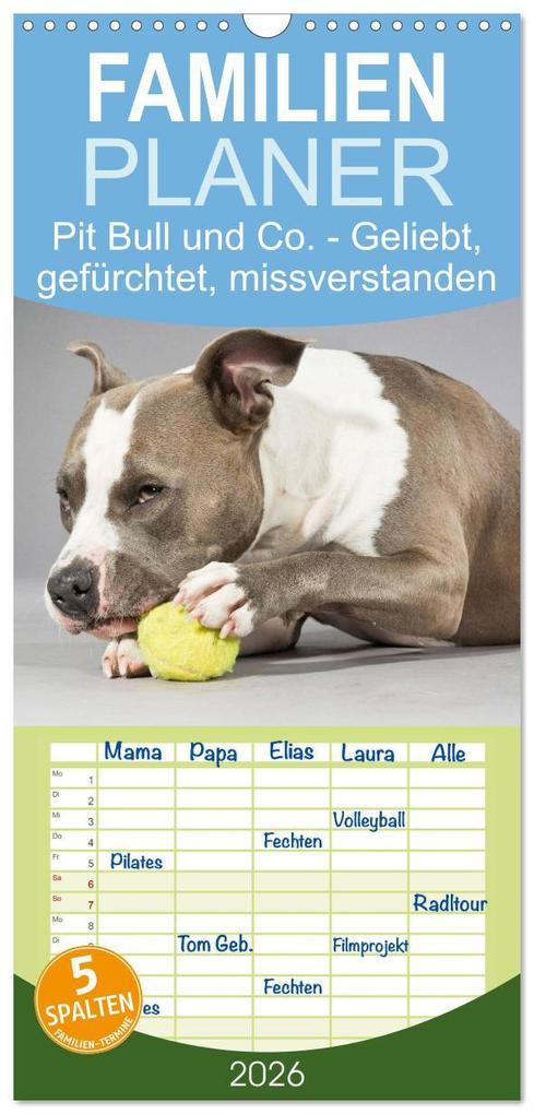 Familienplaner 2026 - Pit Bull und Co. - Geliebt gefürchtet missverstanden mit 5 Spalten (Wandkalender 21 x 45 cm) CALVENDO