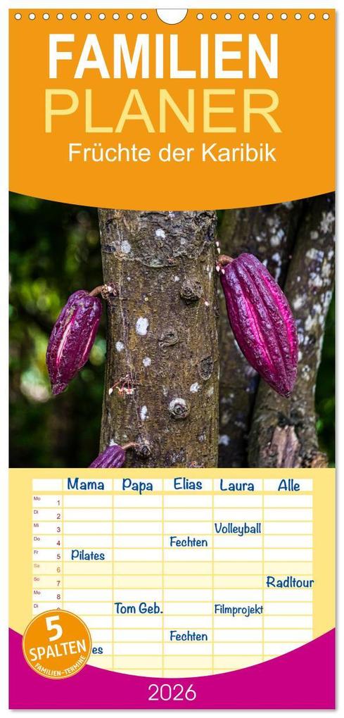 Familienplaner 2026 - Früchte der Karibik mit 5 Spalten (Wandkalender 21 x 45 cm) CALVENDO