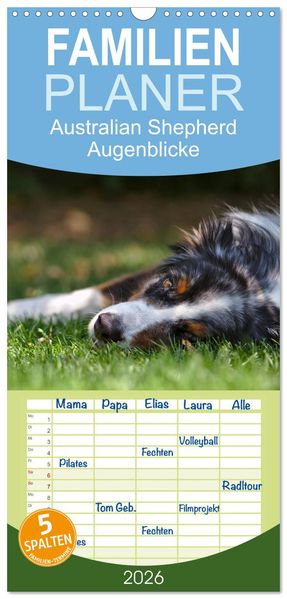 Familienplaner 2026 - Australian Shepherd - Augenblicke mit 5 Spalten (Wandkalender 21 x 45 cm) CALVENDO