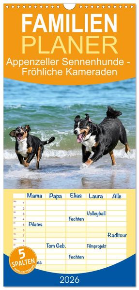 Familienplaner 2026 - Appenzeller Sennenhunde - Fröhliche Kameraden mit 5 Spalten (Wandkalender 21 x 45 cm) CALVENDO