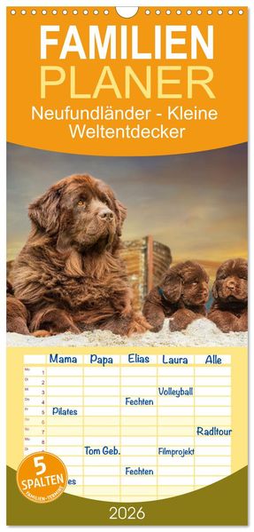 Familienplaner 2026 - Neufundländer - Kleine Weltentdecker mit 5 Spalten (Wandkalender 21 x 45 cm) CALVENDO
