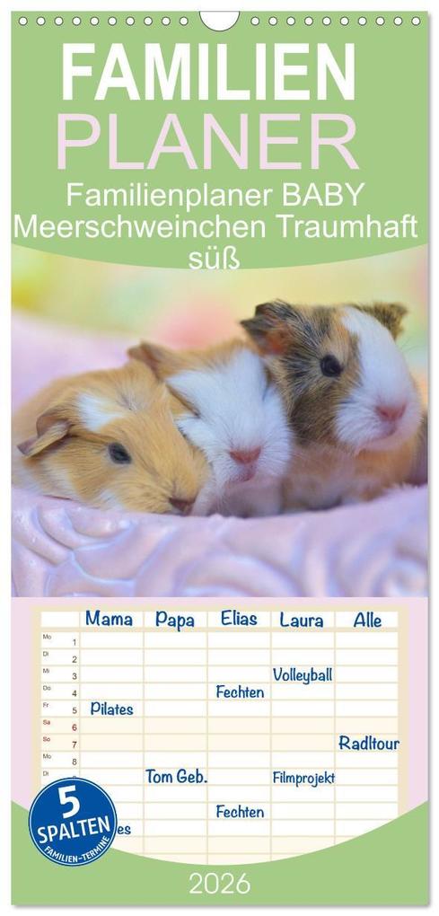 Familienplaner 2026 - Familienplaner BABY Meerschweinchen Traumhaft süß mit 5 Spalten (Wandkalender 21 x 45 cm) CALVENDO