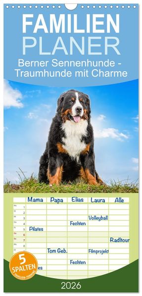 Familienplaner 2026 - Berner Sennenhunde - Traumhunde mit Charme mit 5 Spalten (Wandkalender 21 x 45 cm) CALVENDO