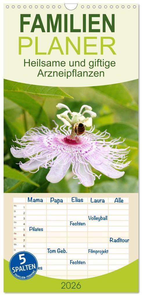 Familienplaner 2026 - Heilsame und giftige Arzneipflanzen mit 5 Spalten (Wandkalender 21 x 45 cm) CALVENDO