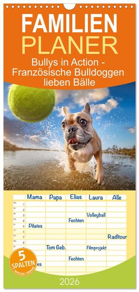 Familienplaner 2026 - Bullys in Action - Französische Bulldoggen lieben Bälle mit 5 Spalten (Wandkalender 21 x 45 cm) CALVENDO