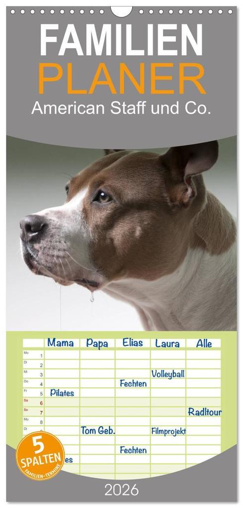 Familienplaner 2026 - American Staff und Co. mit 5 Spalten (Wandkalender 21 x 45 cm) CALVENDO