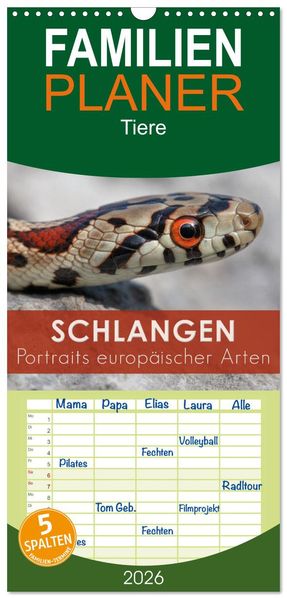 Familienplaner 2026 - Schlangen - Portraits europäischer Arten mit 5 Spalten (Wandkalender 21 x 45 cm) CALVENDO