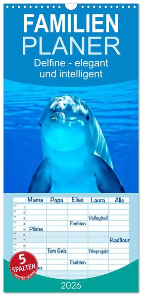 Familienplaner 2026 - Delfine - elegant und intelligent mit 5 Spalten (Wandkalender 21 x 45 cm) CALVENDO