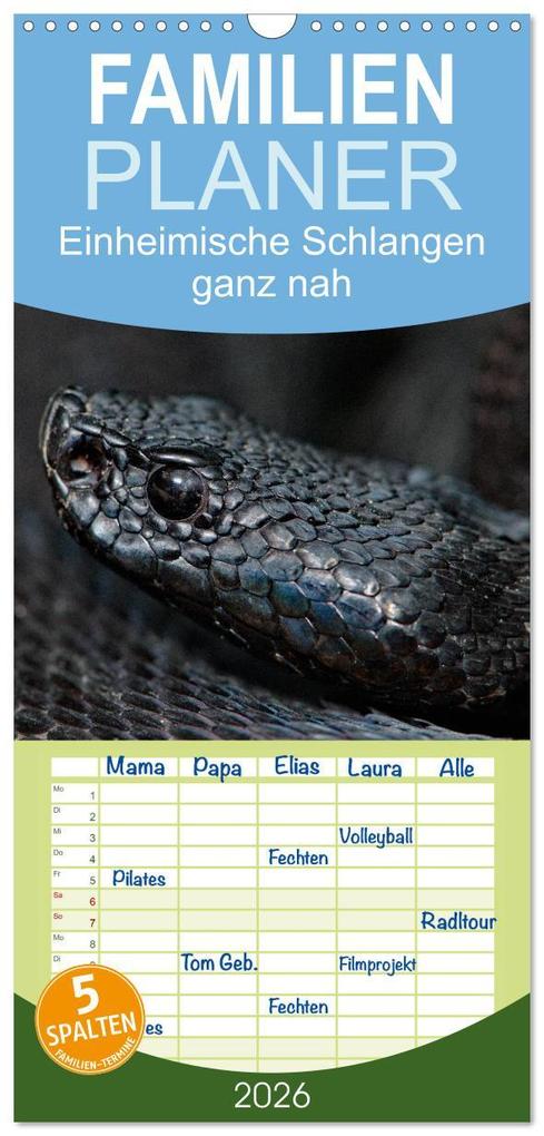 Familienplaner 2026 - Einheimische Schlangen ganz nah mit 5 Spalten (Wandkalender 21 x 45 cm) CALVENDO