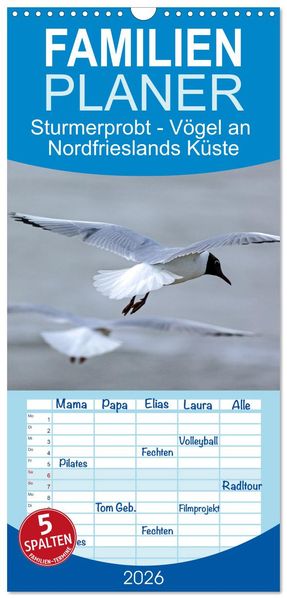 Familienplaner 2026 - Sturmerprobt - Vögel an Nordfrieslands Küste mit 5 Spalten (Wandkalender 21 x 45 cm) CALVENDO