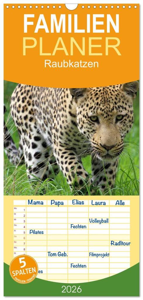 Familienplaner 2026 - Raubkatzen mit 5 Spalten (Wandkalender 21 x 45 cm) CALVENDO