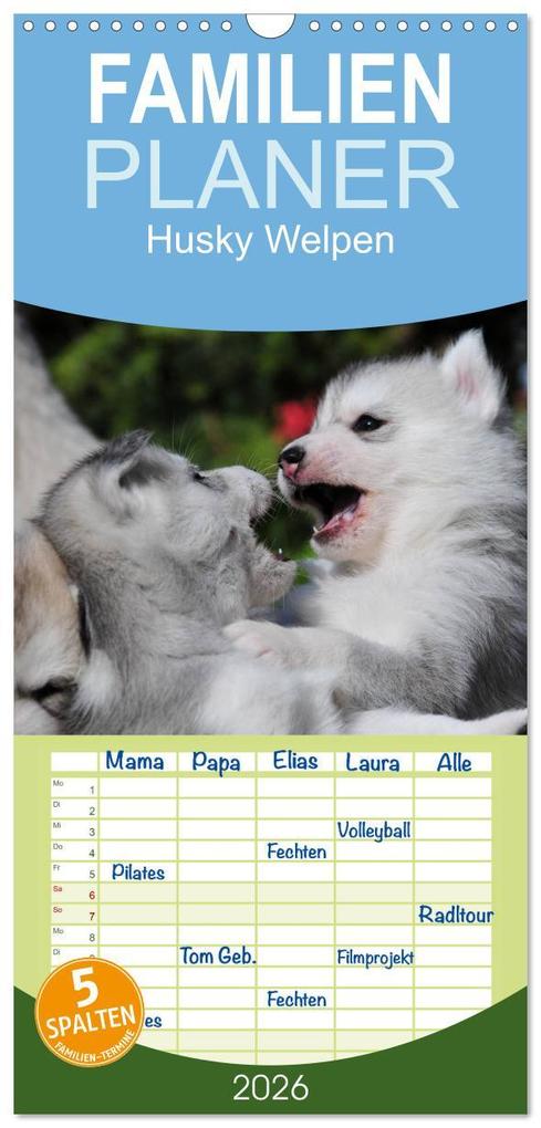 Familienplaner 2026 - Husky Welpen mit 5 Spalten (Wandkalender 21 x 45 cm) CALVENDO