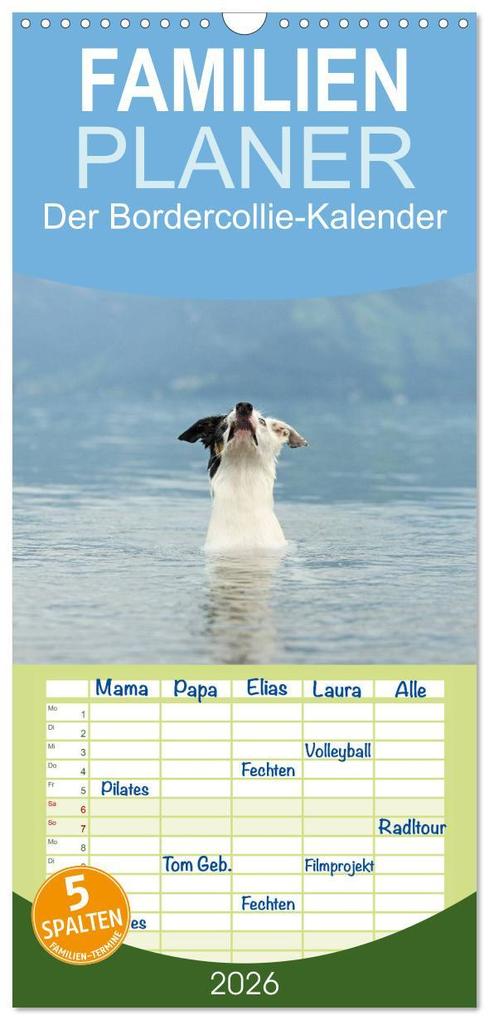 Familienplaner 2026 - Der Bordercollie-Kalender mit 5 Spalten (Wandkalender 21 x 45 cm) CALVENDO