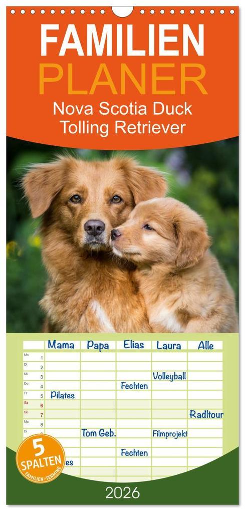 Familienplaner 2026 - Toller - Nova Scotia Duck Tolling Retriever mit 5 Spalten (Wandkalender 21 x 45 cm) CALVENDO