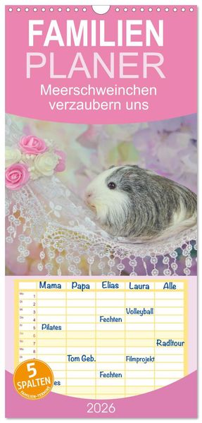 Familienplaner 2026 - Familienplaner MEERSCHWEINCHEN verzaubern uns mit 5 Spalten (Wandkalender 21 x 45 cm) CALVENDO
