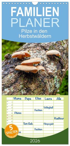 Familienplaner 2026 - Pilze in den Herbstwäldern mit 5 Spalten (Wandkalender 21 x 45 cm) CALVENDO