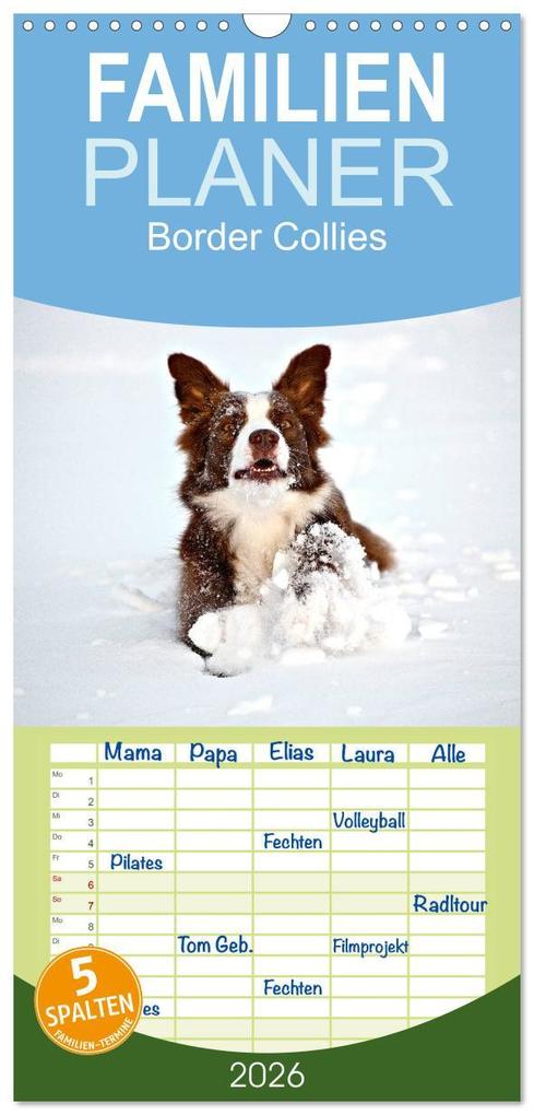 Familienplaner 2026 - Border Collies mit 5 Spalten (Wandkalender 21 x 45 cm) CALVENDO