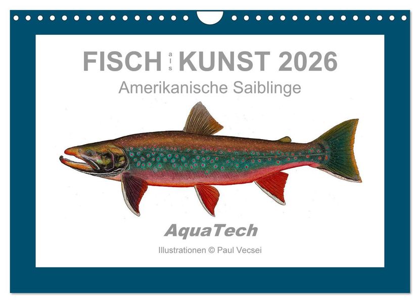 Fisch als Kunst 2026: Amerikanische Saiblinge (Wandkalender 2026 DIN A4 quer) CALVENDO Monatskalender
