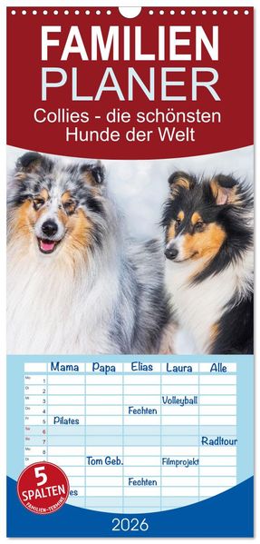Familienplaner 2026 - Collies - die schönsten Hunde der Welt mit 5 Spalten (Wandkalender 21 x 45 cm) CALVENDO