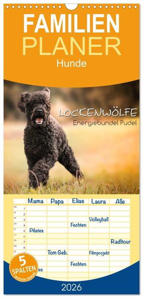 Familienplaner 2026 - Lockenwölfe - Energiebündel Pudel mit 5 Spalten (Wandkalender 21 x 45 cm) CALVENDO