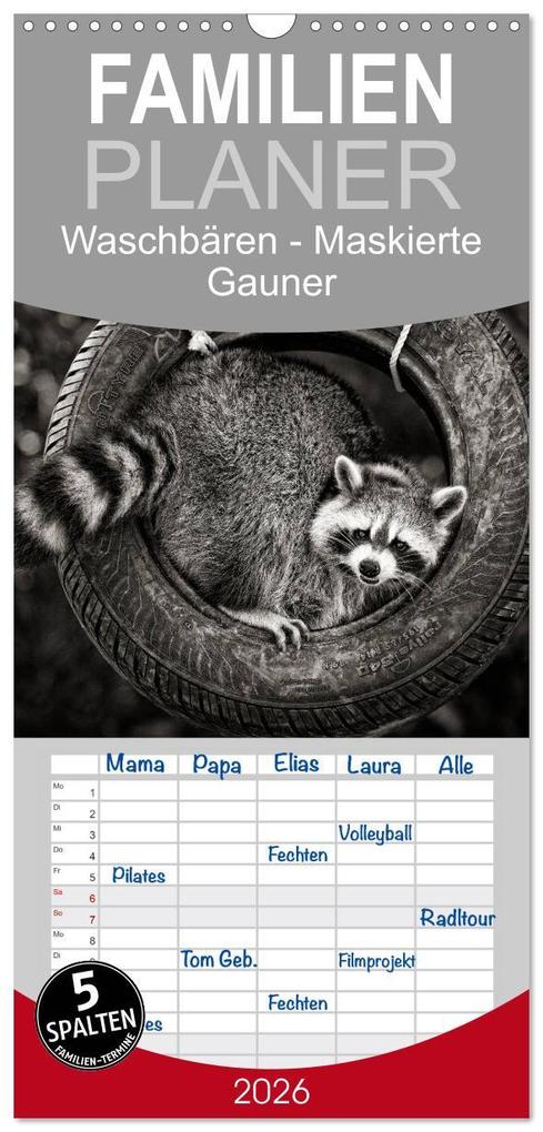 Familienplaner 2026 - Waschbären - Maskierte Gauner mit 5 Spalten (Wandkalender 21 x 45 cm) CALVENDO
