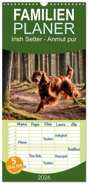 Familienplaner 2026 - Irish Setter - Anmut pur mit 5 Spalten (Wandkalender 21 x 45 cm) CALVENDO