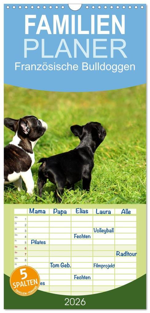 Familienplaner 2026 - Französische Bulldoggen mit 5 Spalten (Wandkalender 21 x 45 cm) CALVENDO