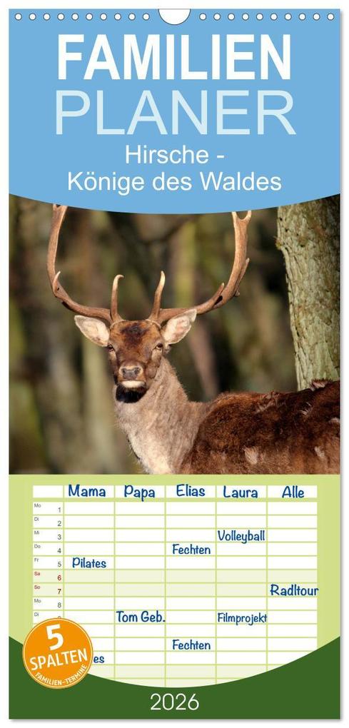 Familienplaner 2026 - Hirsche - Könige des Waldes mit 5 Spalten (Wandkalender 21 x 45 cm) CALVENDO