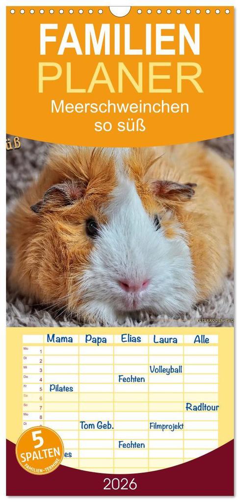 Familienplaner 2026 - Meerschweinchen - so süß mit 5 Spalten (Wandkalender 21 x 45 cm) CALVENDO