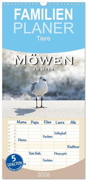 Familienplaner 2026 - Möwen am Meer mit 5 Spalten (Wandkalender 21 x 45 cm) CALVENDO