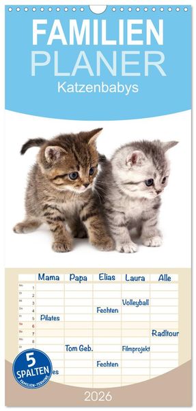 Familienplaner 2026 - Katzenbabys mit 5 Spalten (Wandkalender 21 x 45 cm) CALVENDO