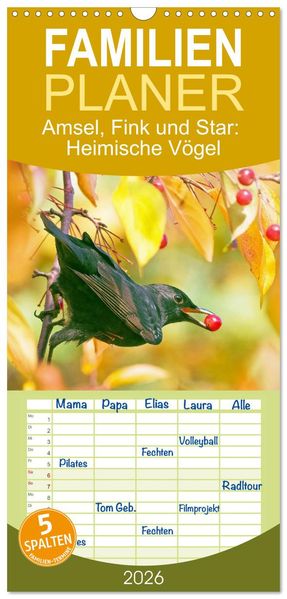 Familienplaner 2026 - Amsel Fink und Star: Heimische Vögel mit 5 Spalten (Wandkalender 21 x 45 cm) CALVENDO