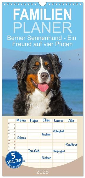 Familienplaner 2026 - Berner Sennenhund - Ein Freund auf vier Pfoten mit 5 Spalten (Wandkalender 21 x 45 cm) CALVENDO