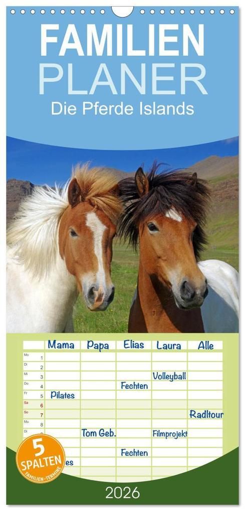 Familienplaner 2026 - Die Pferde Islands mit 5 Spalten (Wandkalender 21 x 45 cm) CALVENDO