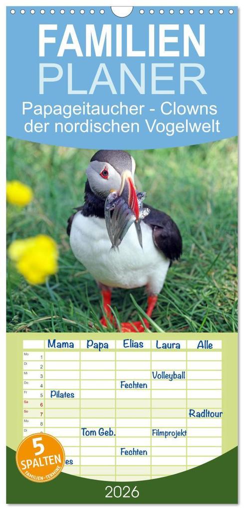 Familienplaner 2026 - Papageitaucher - Clowns der nordischen Vogelwelt mit 5 Spalten (Wandkalender 21 x 45 cm) CALVENDO