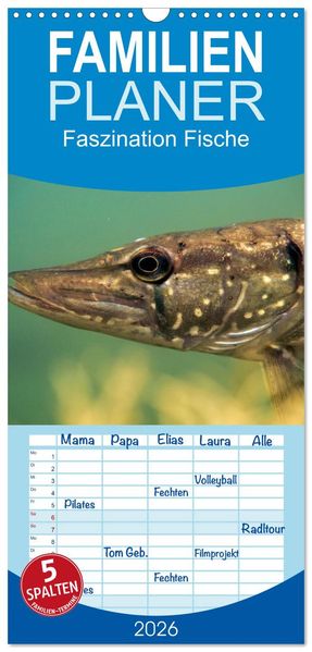 Familienplaner 2026 - Faszination Fische mit 5 Spalten (Wandkalender 21 x 45 cm) CALVENDO