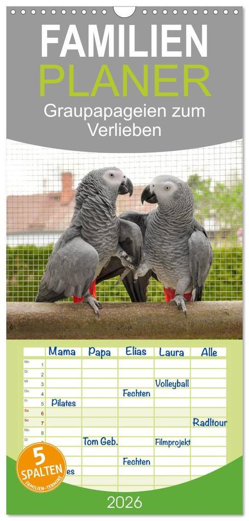 Familienplaner 2026 - Graupapageien zum Verlieben mit 5 Spalten (Wandkalender 21 x 45 cm) CALVENDO