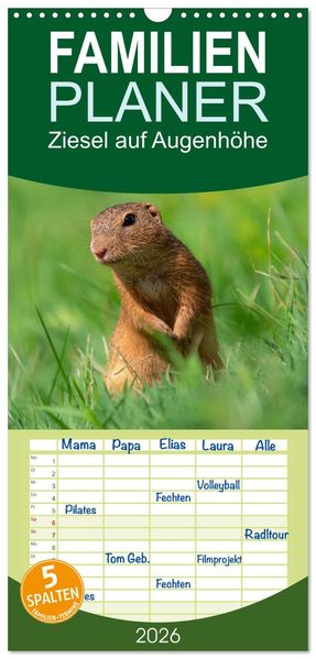 Familienplaner 2026 - Ziesel auf Augenhöhe mit 5 Spalten (Wandkalender 21 x 45 cm) CALVENDO