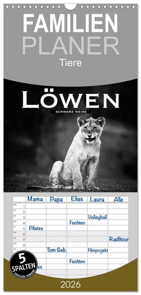 Familienplaner 2026 - Löwen schwarz weiß mit 5 Spalten (Wandkalender 21 x 45 cm) CALVENDO