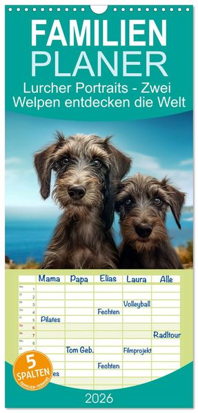 Familienplaner 2026 - Lurcher Portraits - Zwei Welpen entdecken die Welt mit 5 Spalten (Wandkalender 21 x 45 cm) CALVENDO