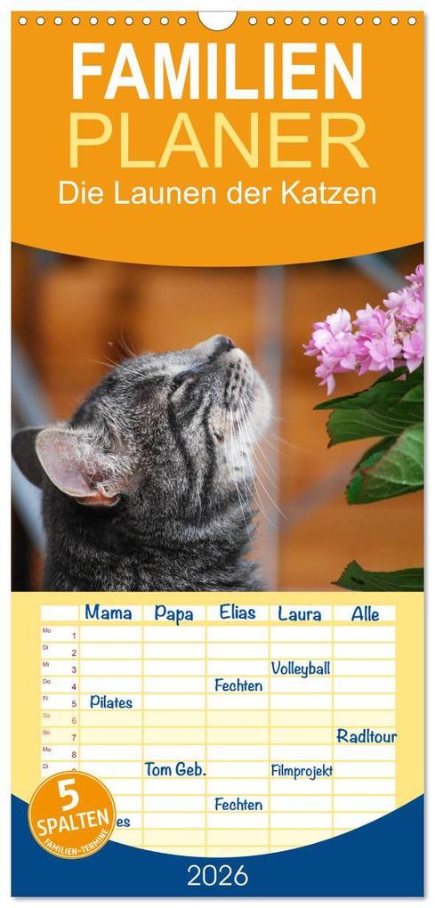 Familienplaner 2026 - Die Launen der Katzen 2026 mit 5 Spalten (Wandkalender 21 x 45 cm) CALVENDO