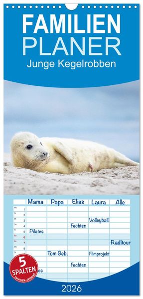 Familienplaner 2026 - Junge Kegelrobben mit 5 Spalten (Wandkalender 21 x 45 cm) CALVENDO