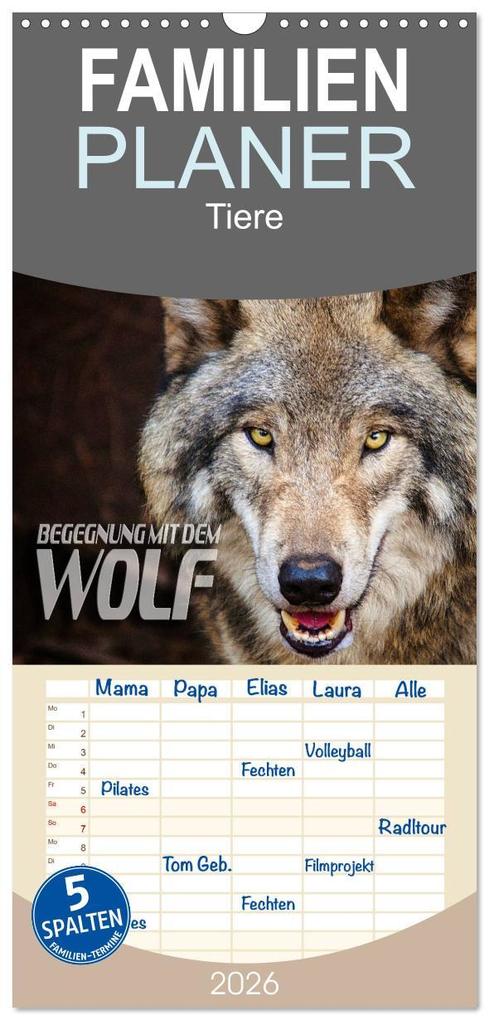 Familienplaner 2026 - Begegnung mit dem Wolf mit 5 Spalten (Wandkalender 21 x 45 cm) CALVENDO