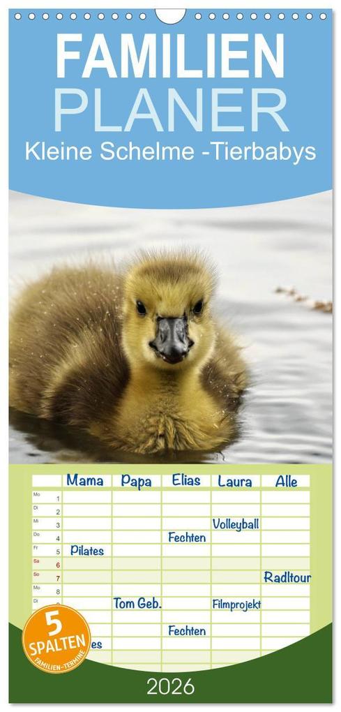 Familienplaner 2026 - Kleine Schelme - Tierbabys mit 5 Spalten (Wandkalender 21 x 45 cm) CALVENDO