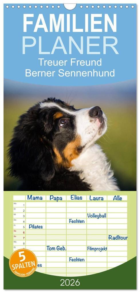 Familienplaner 2026 - Treuer Freund Berner Sennenhund mit 5 Spalten (Wandkalender 21 x 45 cm) CALVENDO
