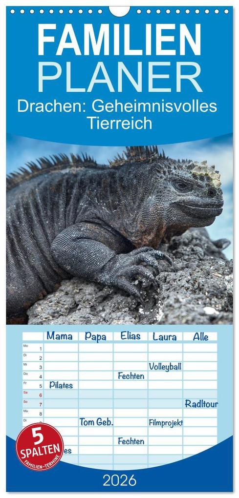 Familienplaner 2026 - Drachen: Geheimnisvolles Tierreich mit 5 Spalten (Wandkalender 21 x 45 cm) CALVENDO