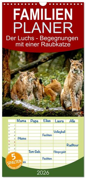 Familienplaner 2026 - Der Luchs - Begegnungen mit einer Raubkatze mit 5 Spalten (Wandkalender 21 x 45 cm) CALVENDO